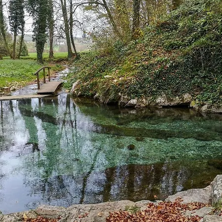 Romantic In Real Nature - Happy * Trebnje