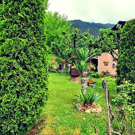 Romantic In Real Nature - Happy